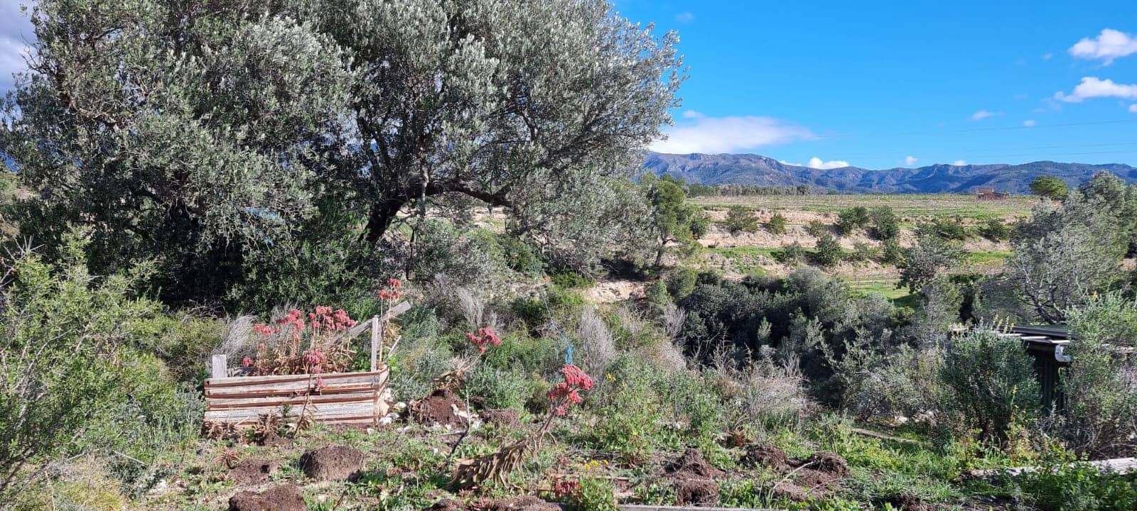 2 slaapkamer Finca/Landhuis te koop in Tivenys - € 38.000 (Ref: 9578200)