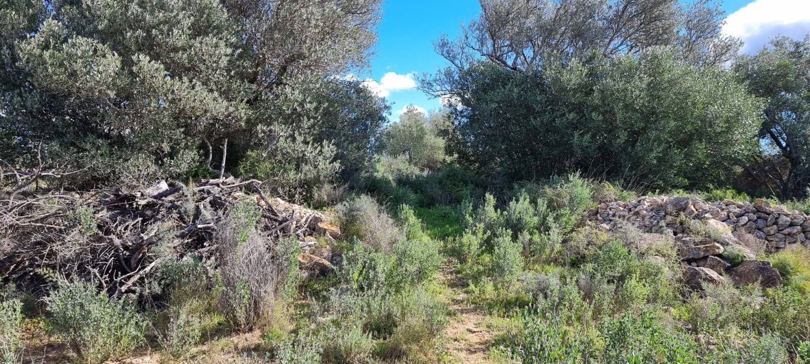 2 slaapkamer Finca/Landhuis te koop in Tivenys - € 38.000 (Ref: 9578200)