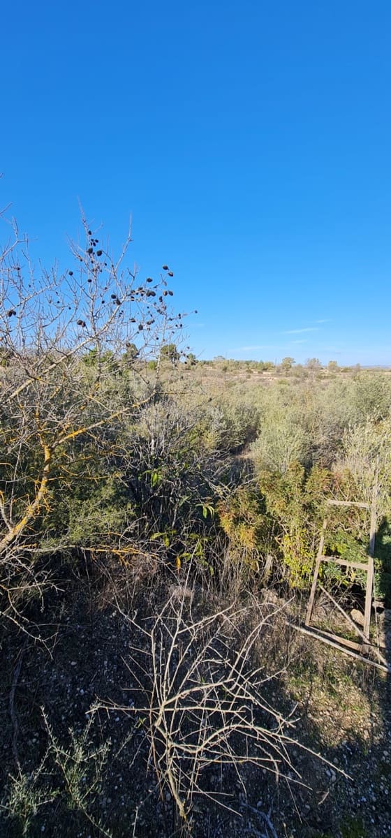 2 soveværelse Finca/Landehus til salg i Mora d'Ebre med swimmingpool - € 58.000 (Ref: 9614421)