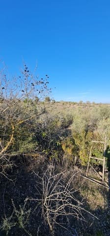 2 bedroom Finca/Country House for sale in Móra d'Ebre with pool - € 58,000 (Ref: 9614421)