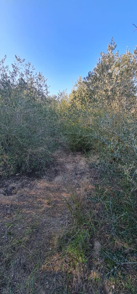 2 soveværelse Finca/Landehus til salg i Mora d'Ebre med swimmingpool - € 58.000 (Ref: 9614421)