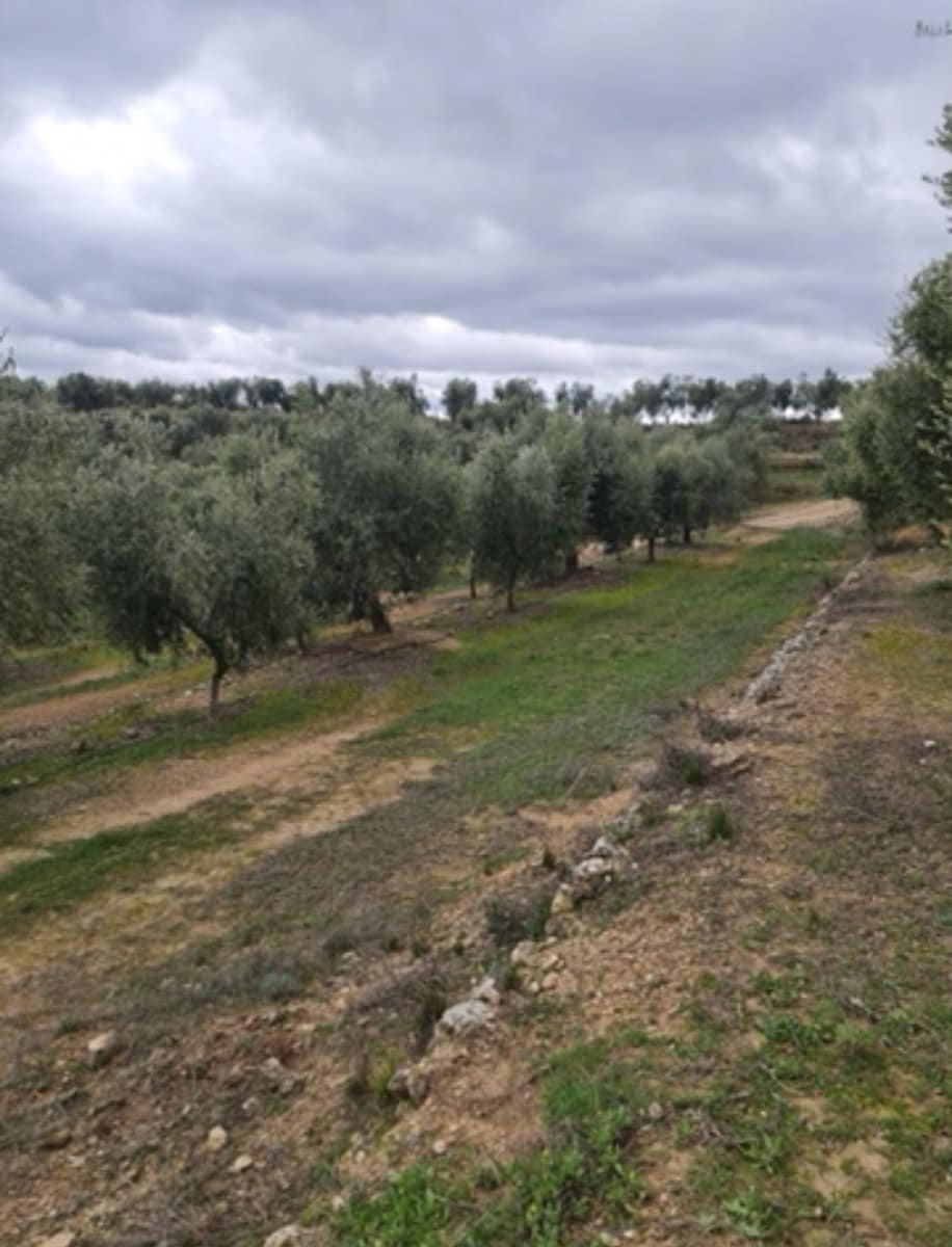 Maalaistalo myytävänä paikassa Bovera - 15 000 € (Ref: 9614572)