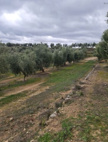 Maalaistalo myytävänä paikassa Bovera - 15 000 € (Ref: 9614572)