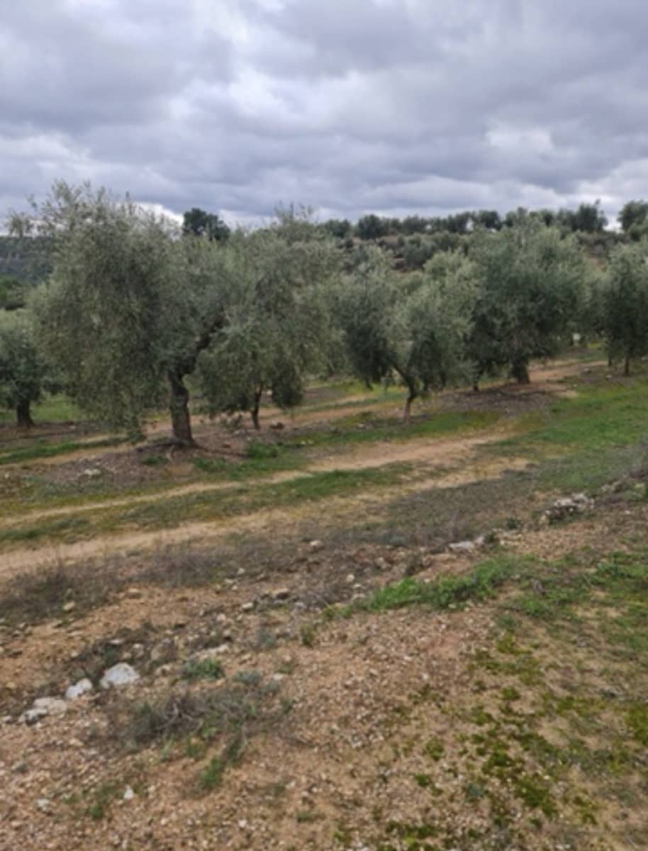 Maalaistalo myytävänä paikassa Bovera - 15 000 € (Ref: 9614572)