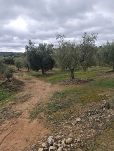 Maalaistalo myytävänä paikassa Bovera - 15 000 € (Ref: 9614572)