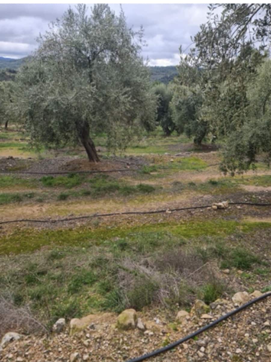 Maalaistalo myytävänä paikassa Bovera - 15 000 € (Ref: 9614572)