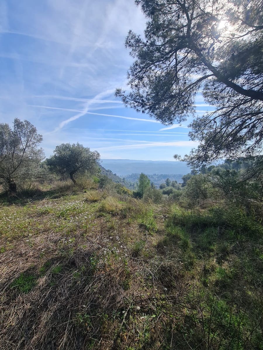 1 sovrum Finca/Hus på landet till salu i Bovera - 55 000 € (Ref: 9627074)