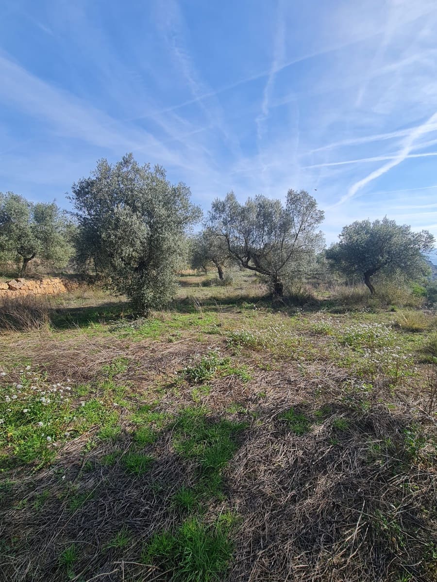 1 sovrum Finca/Hus på landet till salu i Bovera - 55 000 € (Ref: 9627074)