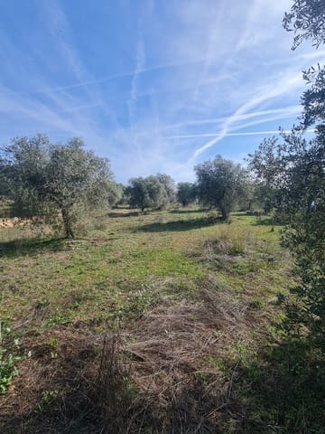 1 sovrum Finca/Hus på landet till salu i Bovera - 55 000 € (Ref: 9627074)