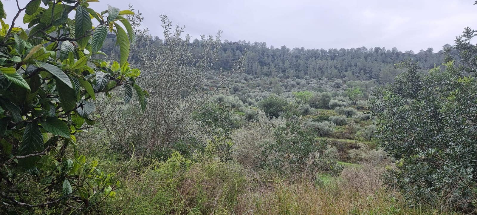 Apartamento de 2 habitaciones en Benifallet en venta - 96.000 € (Ref: 9663349)