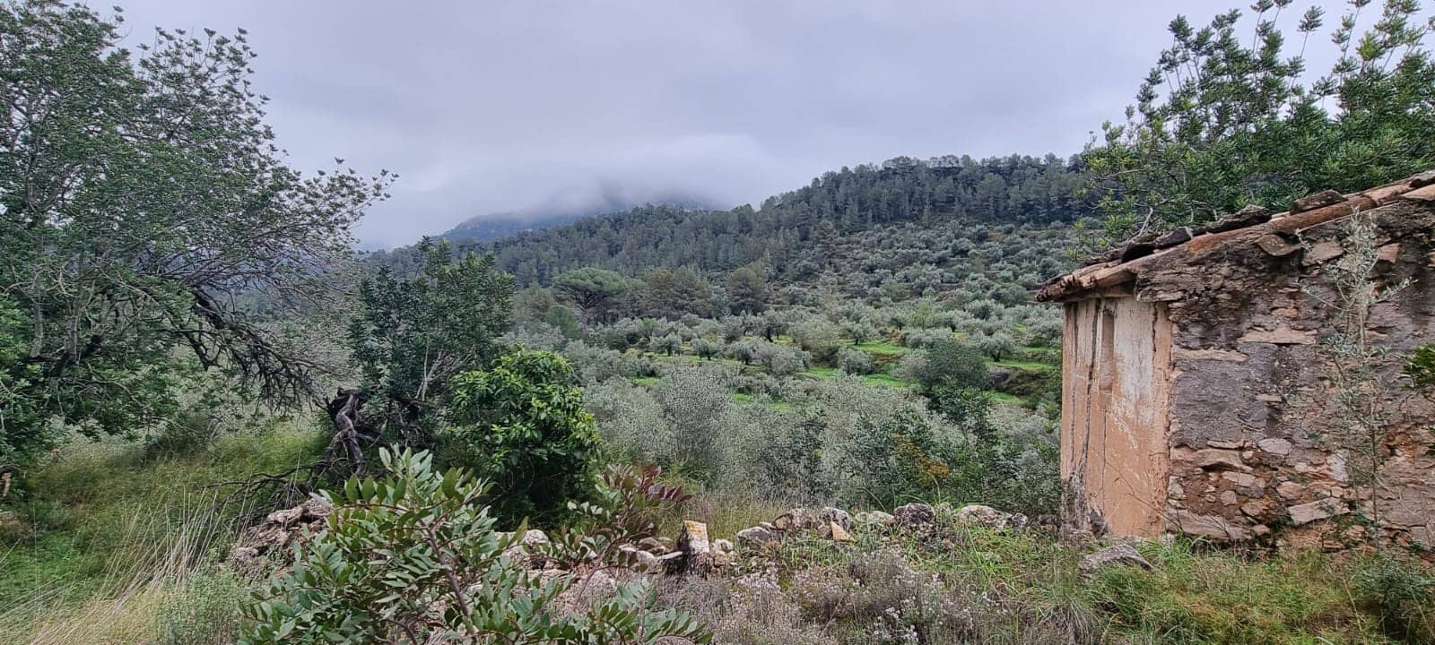 Apartamento de 2 habitaciones en Benifallet en venta - 96.000 € (Ref: 9663349)