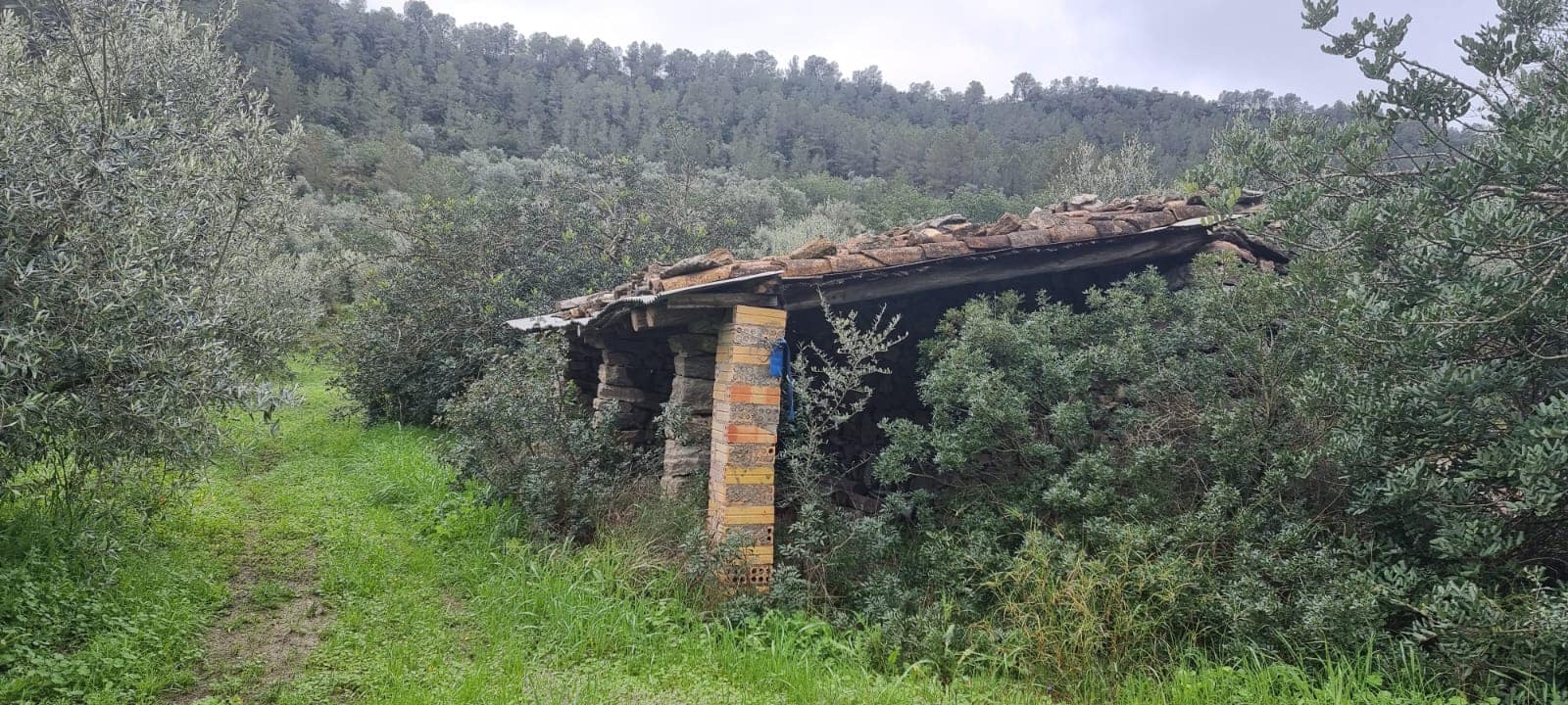 Apartamento de 2 habitaciones en Benifallet en venta - 96.000 € (Ref: 9663349)