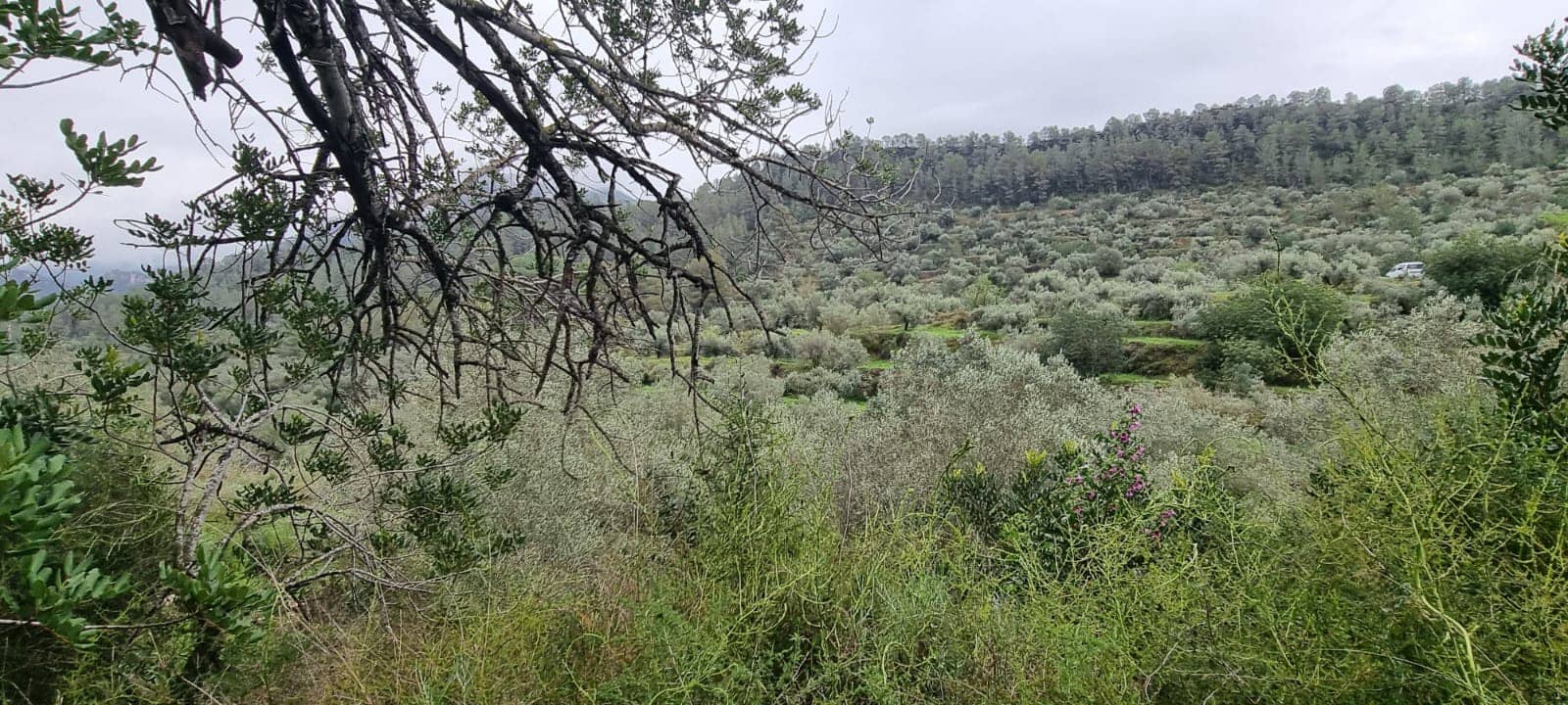 Apartamento de 2 habitaciones en Benifallet en venta - 96.000 € (Ref: 9663349)