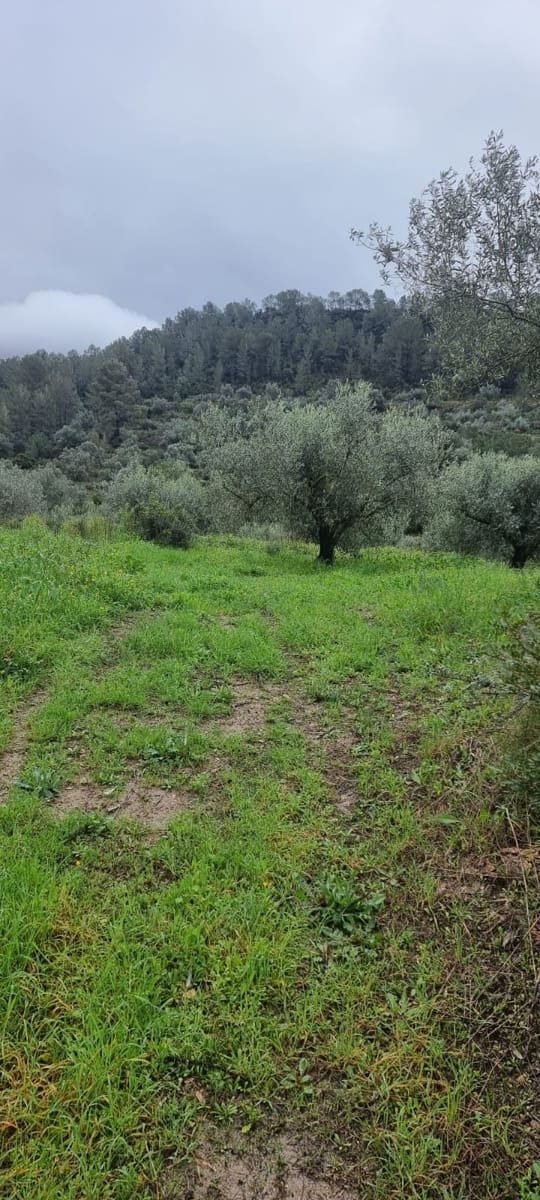 2 soverom Finca/Herregård til salgs i Benifallet - € 96 000 (Ref: 9663349)