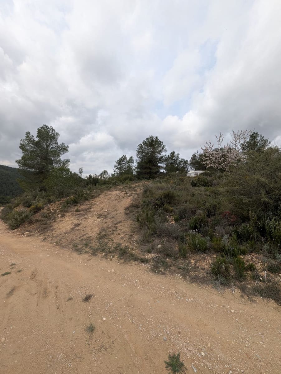 Quinta/Casa Rural para venda em Caseres - 12 000 € (Ref: 9669709)