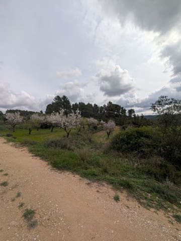 Quinta/Casa Rural para venda em Caseres - 12 000 € (Ref: 9669709)
