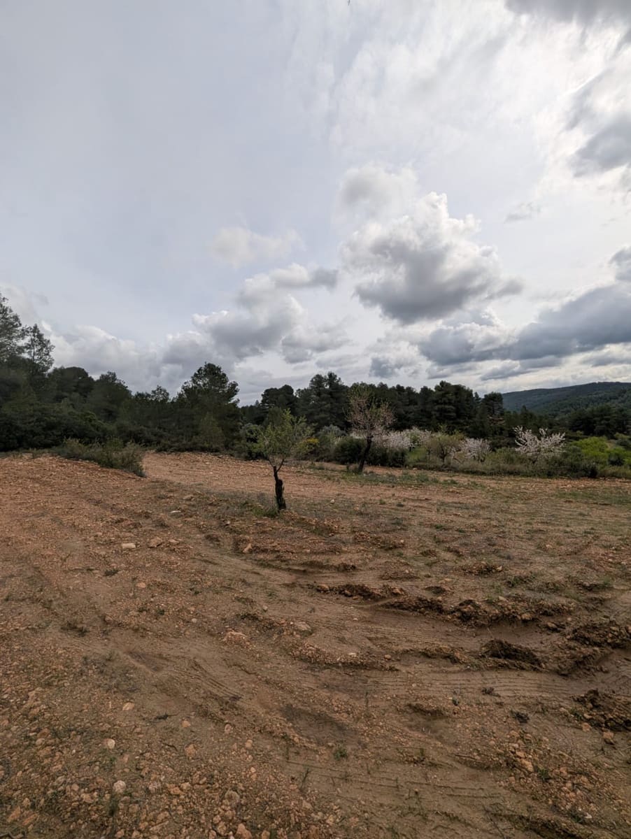 Quinta/Casa Rural para venda em Caseres - 12 000 € (Ref: 9669709)