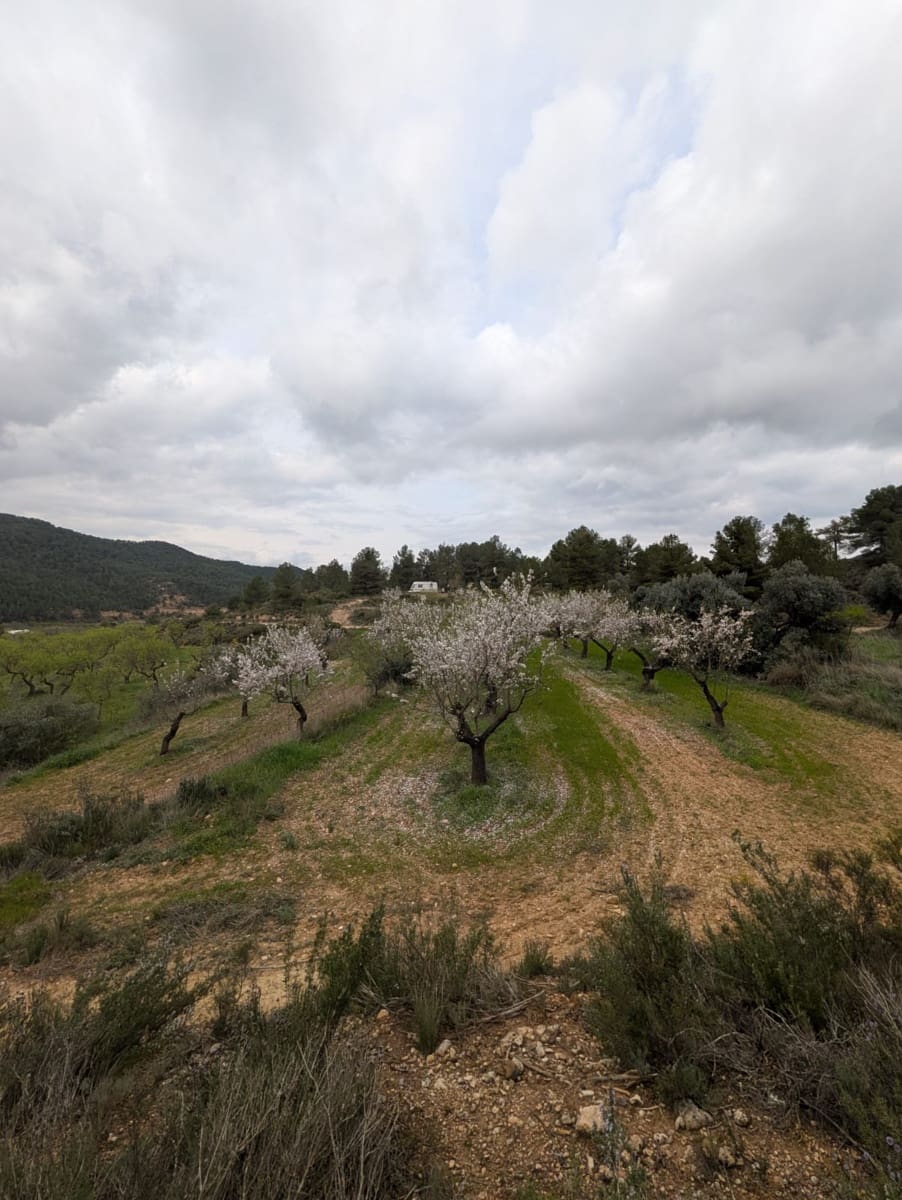 Quinta/Casa Rural para venda em Caseres - 12 000 € (Ref: 9669709)