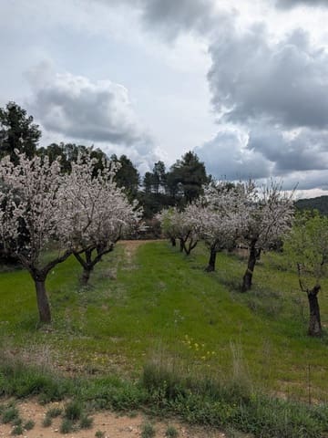 Quinta/Casa Rural para venda em Caseres - 12 000 € (Ref: 9669709)