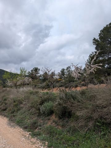 Quinta/Casa Rural para venda em Caseres - 12 000 € (Ref: 9669709)