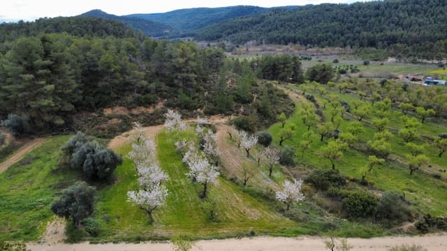 Finca/Herregård til salgs i Caseres - € 12 000 (Ref: 9669709)