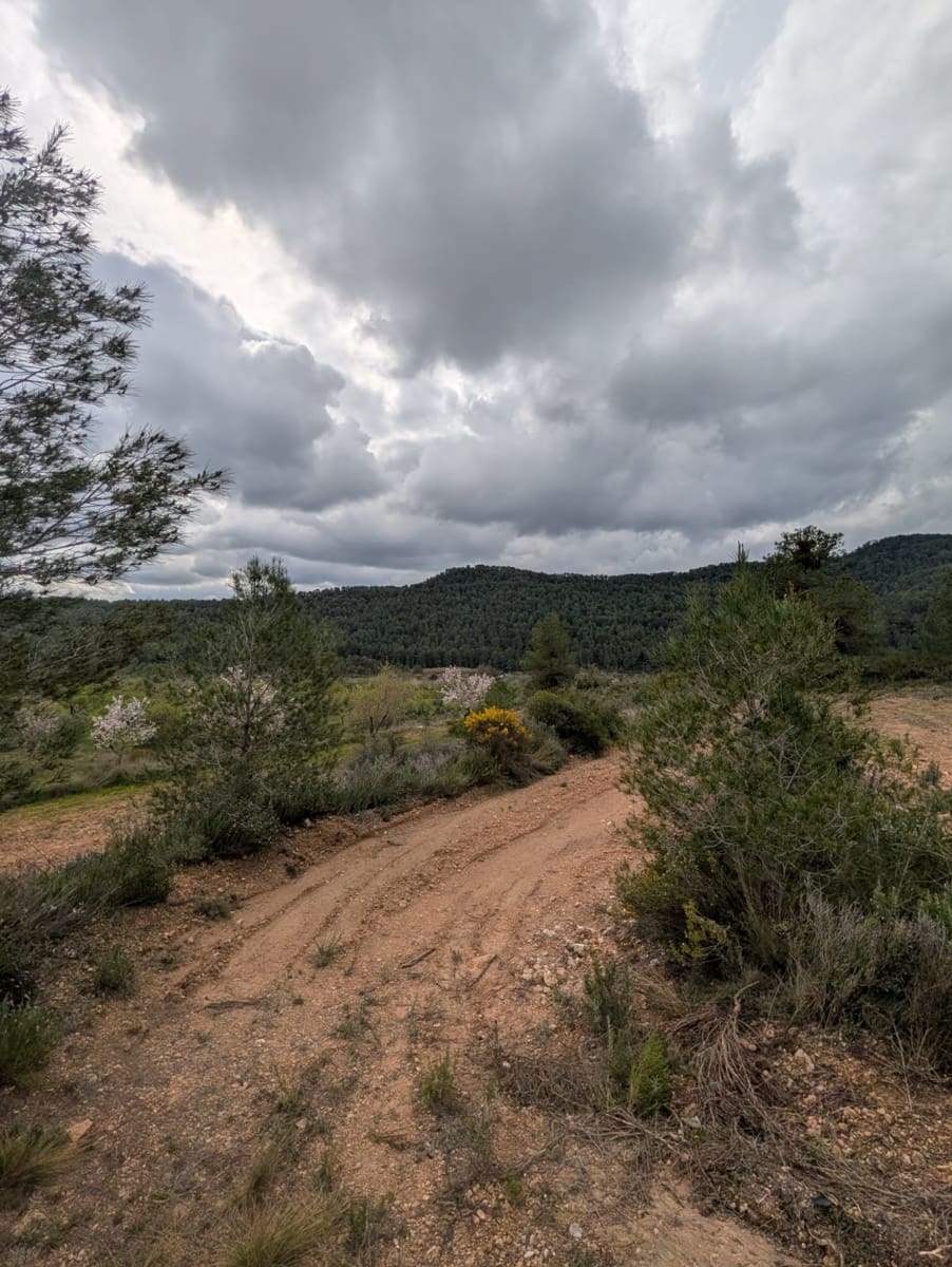 Finca/Country House for sale in Caseres - € 12,000 (Ref: 9669709)