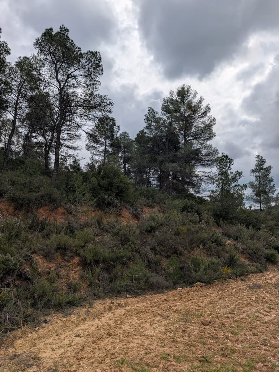 Finca/Country House for sale in Caseres - € 12,000 (Ref: 9669709)