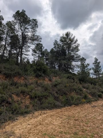 Finca/Herregård til salgs i Caseres - € 12 000 (Ref: 9669709)