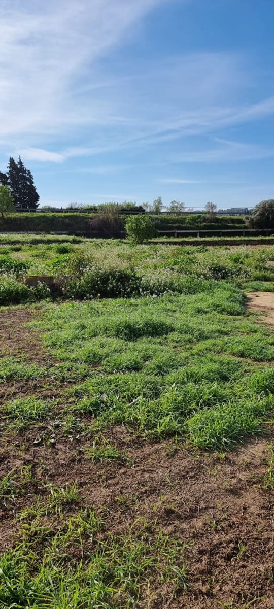 Maalaistalo myytävänä paikassa Ginestar - 16 000 € (Ref: 9677866)