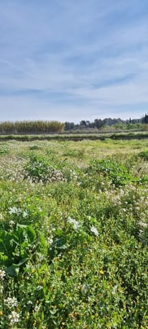 Maalaistalo myytävänä paikassa Ginestar - 16 000 € (Ref: 9677866)