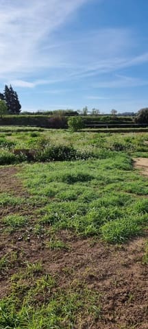 Finca/Herregård til salgs i Ginestar - € 16 000 (Ref: 9677866)