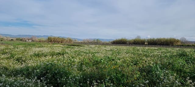 Finca/Herregård til salgs i Ginestar - € 16 000 (Ref: 9677866)