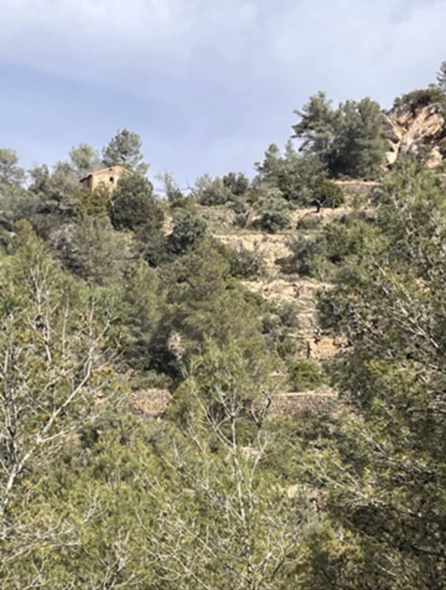 Finca/Country House for sale in Benifallet - € 22,000 (Ref: 9685786)