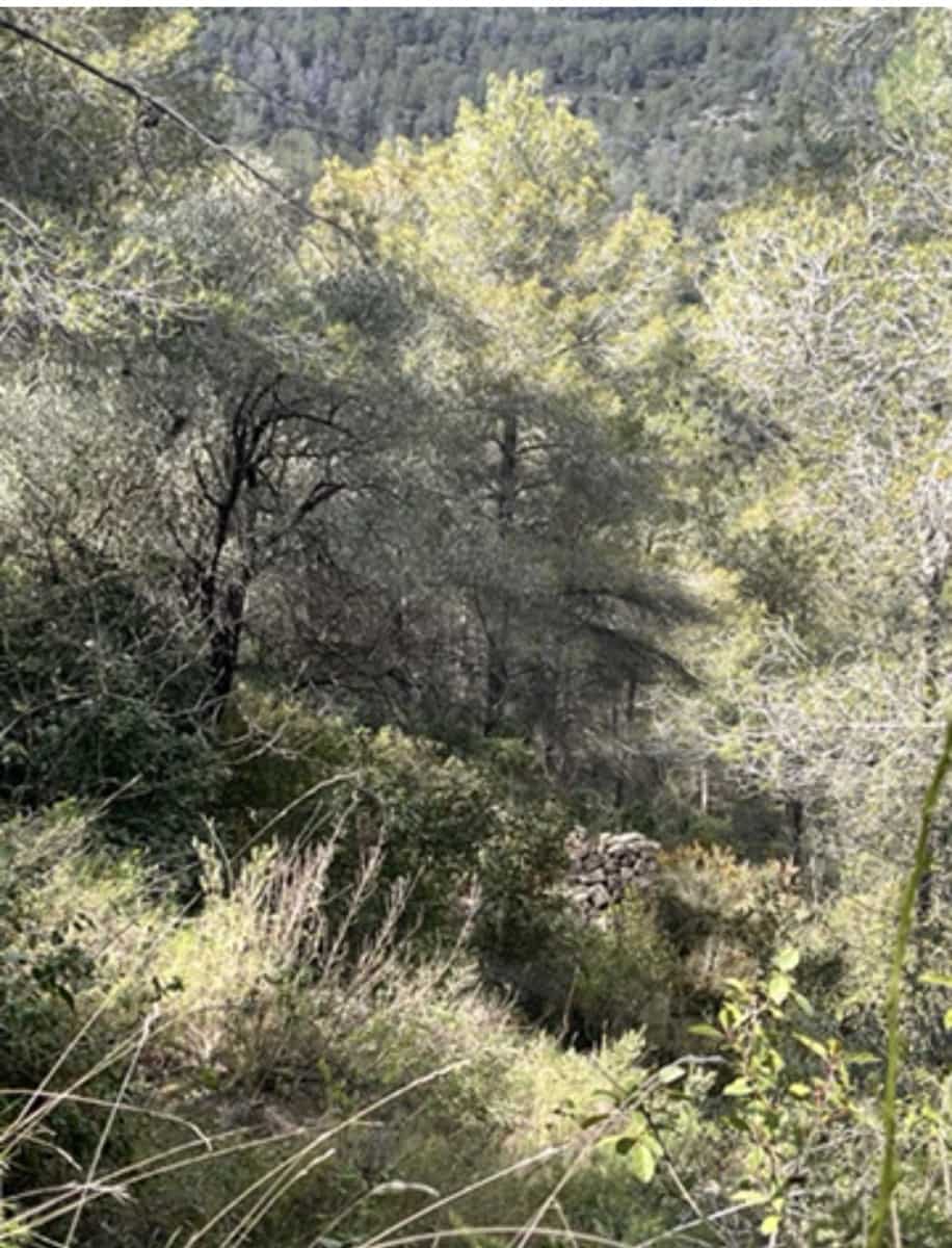 Finca/Country House for sale in Benifallet - € 22,000 (Ref: 9685786)