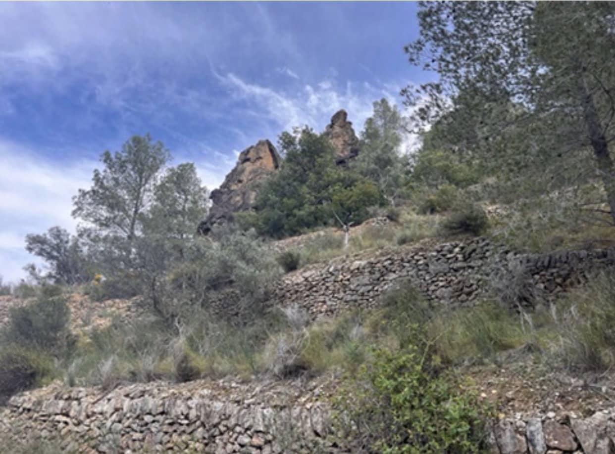 Finca/Maison de Campagne à vendre à Benifallet - 22 000 € (Ref: 9685786)