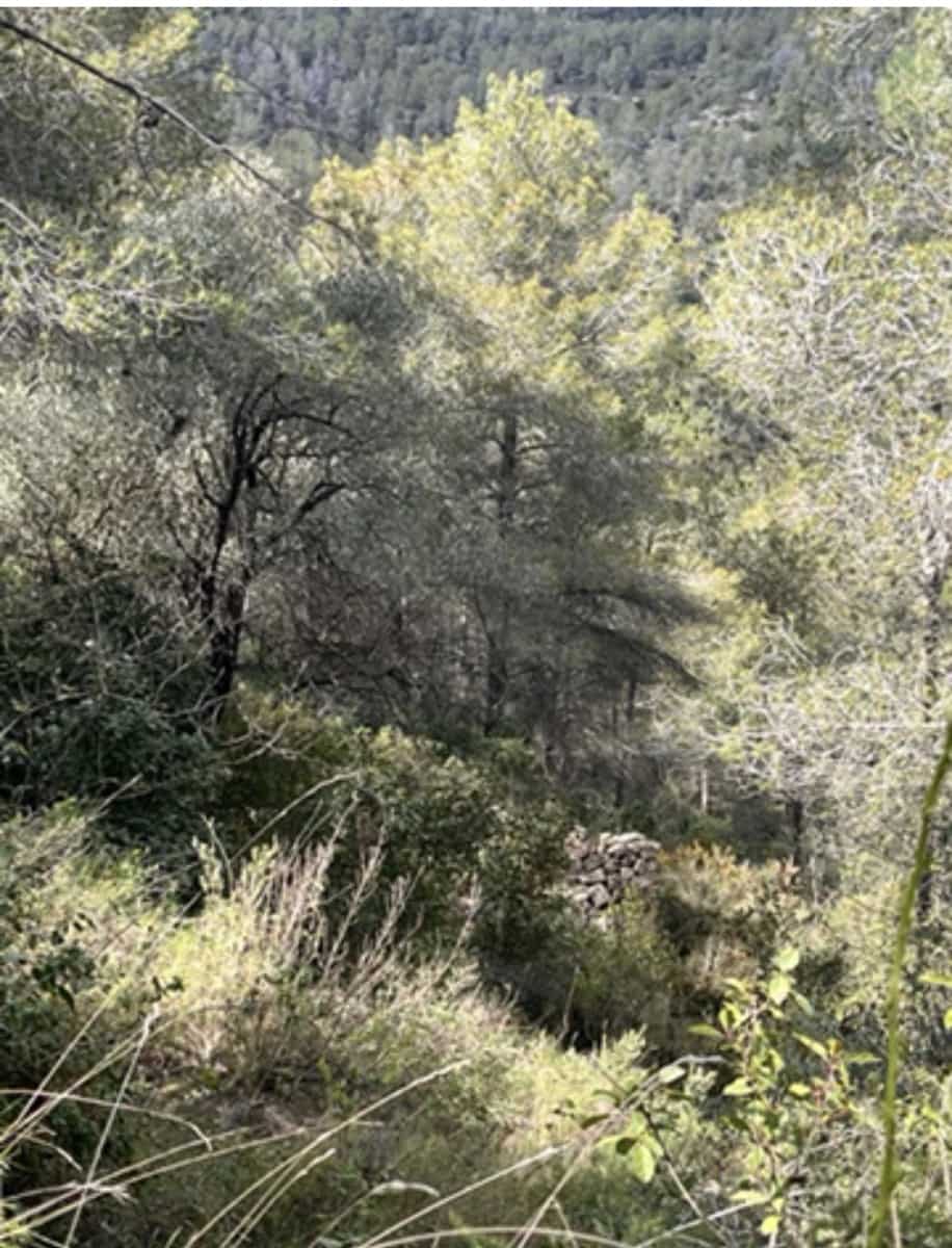 Finca/Maison de Campagne à vendre à Benifallet - 22 000 € (Ref: 9685786)