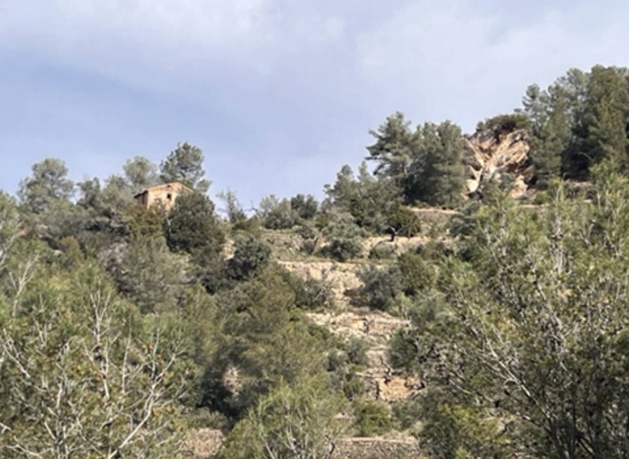 Finca/Maison de Campagne à vendre à Benifallet - 22 000 € (Ref: 9685786)
