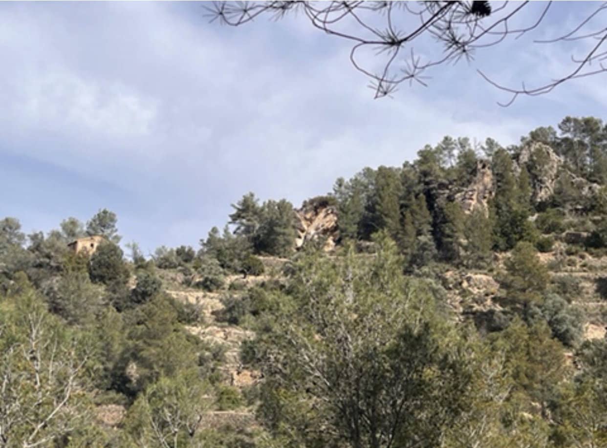 Finca/Maison de Campagne à vendre à Benifallet - 22 000 € (Ref: 9685786)
