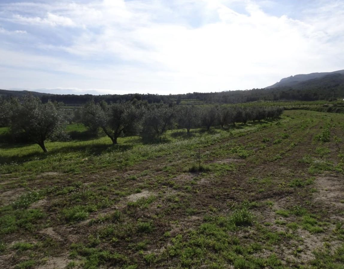 1 soveværelse Finca/Landehus til salg i Miravet - € 56.000 (Ref: 9696627)