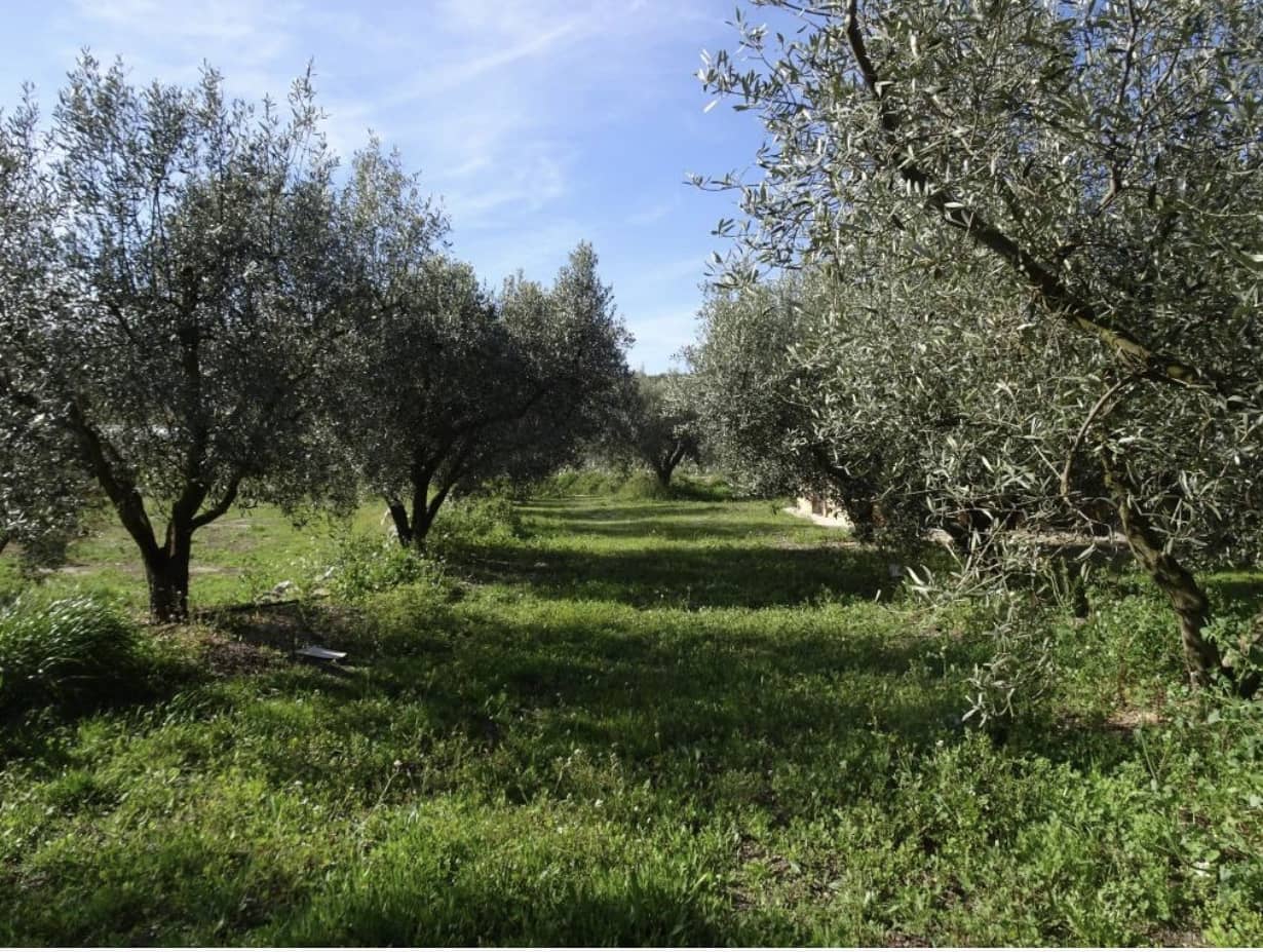 1 soveværelse Finca/Landehus til salg i Miravet - € 56.000 (Ref: 9696627)