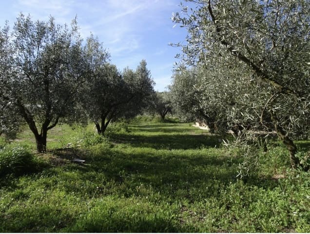 1 soveværelse Finca/Landehus til salg i Miravet - € 56.000 (Ref: 9696627)