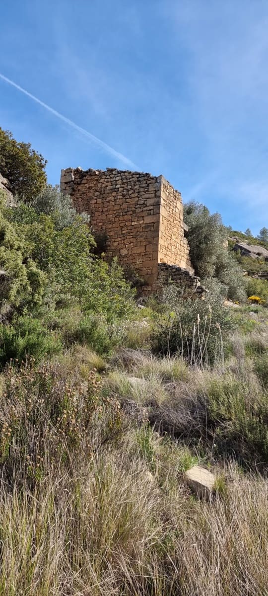 Quinta/Casa Rural para venda em Caseres - 27 000 € (Ref: 9721048)