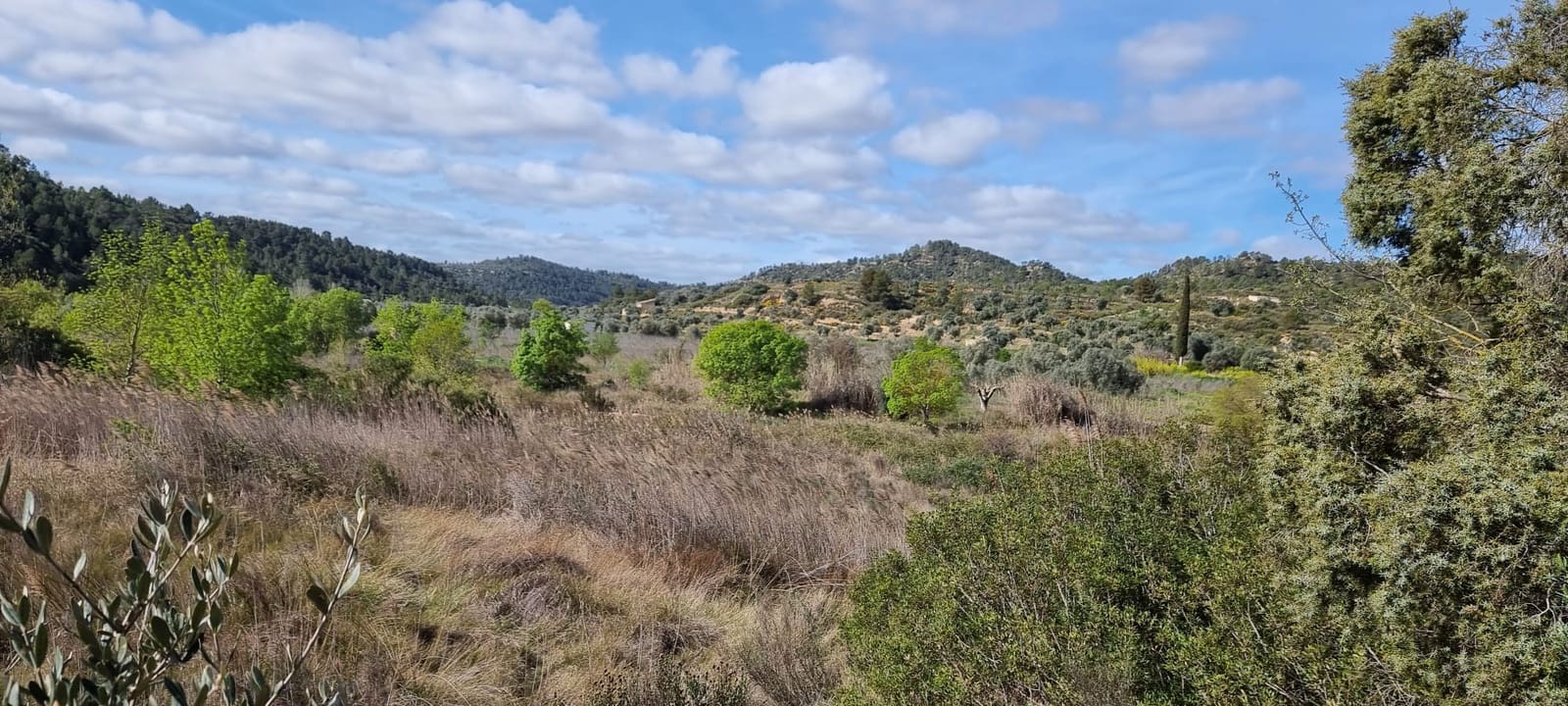 Quinta/Casa Rural para venda em Caseres - 27 000 € (Ref: 9721048)