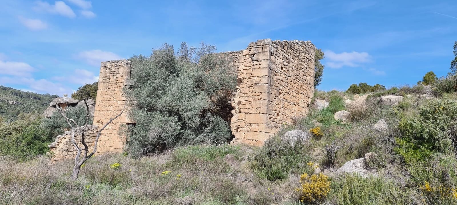 Quinta/Casa Rural para venda em Caseres - 27 000 € (Ref: 9721048)