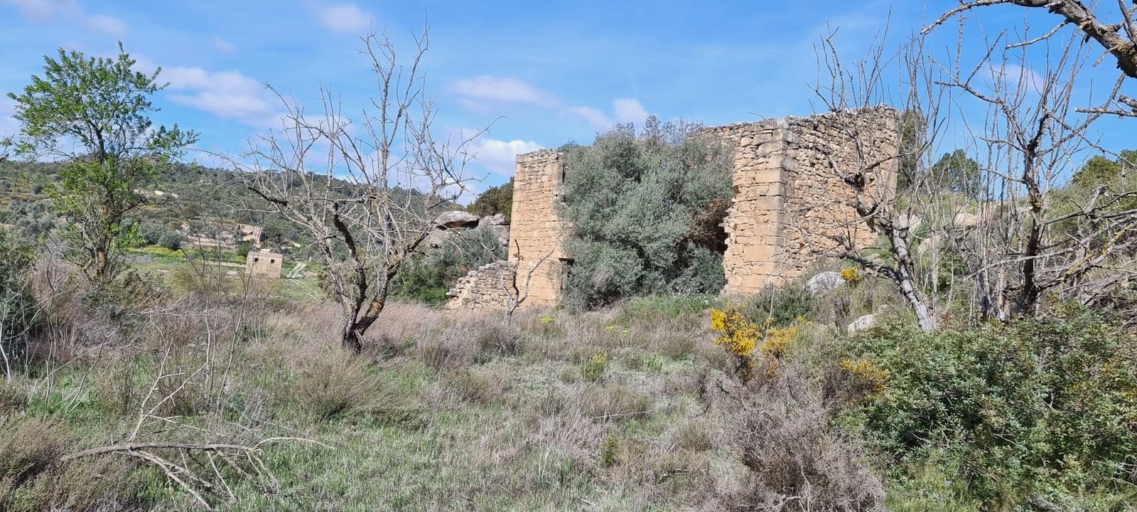 Quinta/Casa Rural para venda em Caseres - 27 000 € (Ref: 9721048)