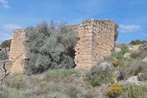 Finca/Country House for sale in Caseres - € 27,000 (Ref: 9721048)