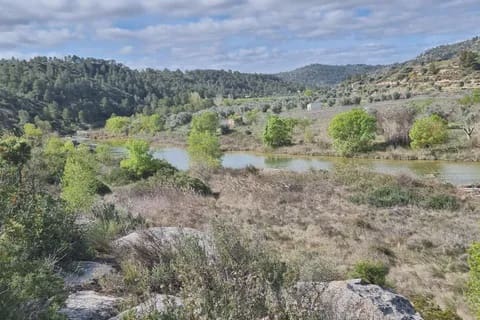 Finca/Country House for sale in Caseres - € 27,000 (Ref: 9721048)