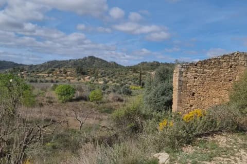 Finca/Country House for sale in Caseres - € 27,000 (Ref: 9721048)
