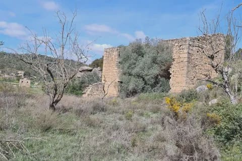 Finca/Country House for sale in Caseres - € 27,000 (Ref: 9721048)