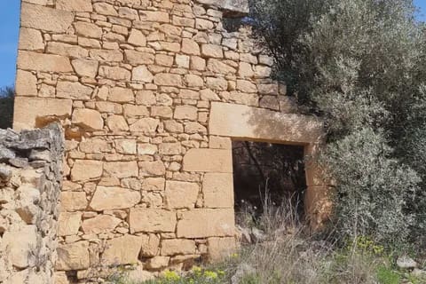 Finca/Casa Rural en Caseres en venta - 27.000 € (Ref: 9721048)